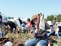 食欲と知欲の秋！－学んで掘って秋野菜満載ビュッフェ－