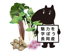 長岡産野菜研究コース