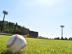 ファインダ－越しから見た新潟の高校野球