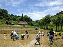 意外と知らない！？越後丘陵公園の里山を探検しよう！