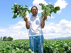 とれたてサイコー！夏野菜を食べてみよう！