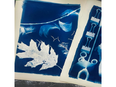 カメラを使わない☆日光で写真を撮ろう！